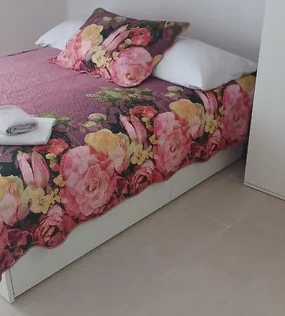 Vanda *